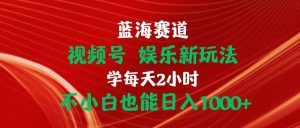 蓝海赛道视频号 娱乐新玩法每天2小时小白也能日入1000+-云资源库