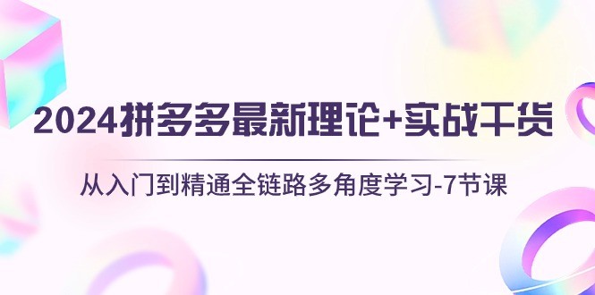 2024拼多多 最新理论+实战干货，从入门到精通全链路多角度学习-7节课-云资源库