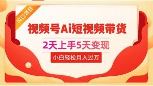 2天上手5天变现视频号Ai短视频带货0粉丝0基础小白轻松月入过万-云资源库