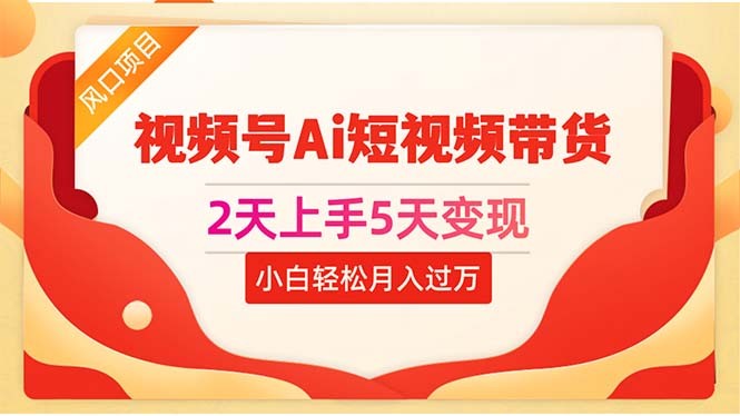 2天上手5天变现视频号Ai短视频带货0粉丝0基础小白轻松月入过万-云资源库