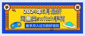 2024年6月最新闲鱼卖switch游戏手柄，新手月入过万的第一个好项目-云资源库