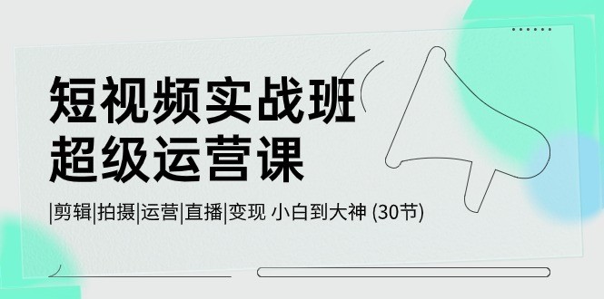 短视频实战班-超级运营课，|剪辑|拍摄|运营|直播|变现 小白到大神 (30节)-云资源库