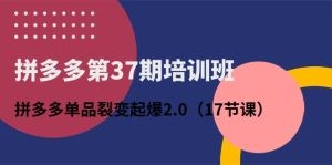 拼多多第37期培训班：拼多多单品裂变起爆2.0（17节课）-云资源库