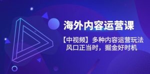 海外内容 运营课【中视频】多种内容运营玩法 风口正当时 掘金好时机-101节-云资源库