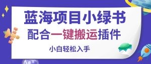 蓝海项目小绿书，配合一键搬运插件，小白轻松入手-云资源库