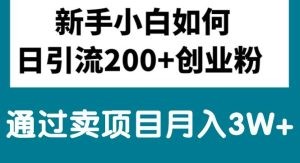 新手小白日引流200+创业粉,通过卖项目月入3W+-云资源库