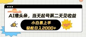 AI撸头条，当天起号，第二天见收益。轻松日入2000+-云资源库