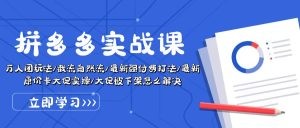 拼多多·实战课：万人团玩法/截流自然流/最新强付费打法/最新原价卡大促..-云资源库