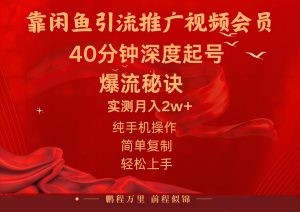 闲鱼暴力引流推广视频会员，能做到日入2W+，操作简单-云资源库