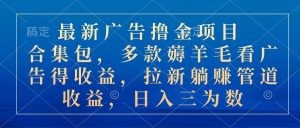 最新广告撸金项目合集包，多款薅羊毛看广告收益 拉新管道收益，日入三为数-云资源库