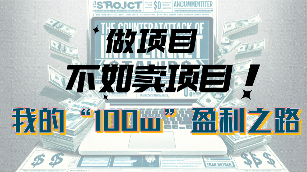 为什么做项目不如卖项目？我的100W+盈利之路-云资源库