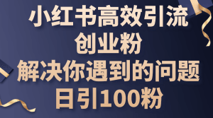 小红书高效引流创业粉，解决你遇到的问题，日引100粉-云资源库