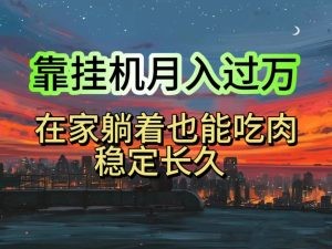 挂机项目日入1000+，躺着也能吃肉，适合宝爸宝妈学生党工作室，电脑手…-云资源库