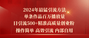 2024年最猛暴力引流方法，单条作品百万播放 单日引流500+高质量精准创业粉-云资源库