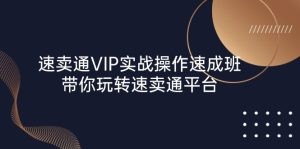 速卖通 VIP实战操作-速成班，带你玩转速卖通平台（23节）-云资源库