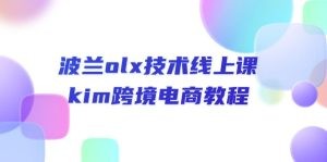 波兰olx 技术线上课，kim跨境电商教程-云资源库