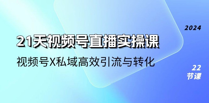 21天-视频号直播实操课，视频号X私域高效引流与转化（22节课）-云资源库