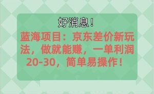 越早知道越能赚到钱的蓝海项目：京东大平台操作，一单利润20-30，简单…-云资源库