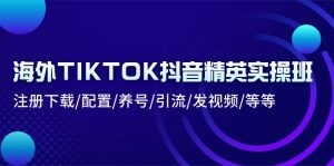 海外TIKTOK抖音精英实操班：注册下载/配置/养号/引流/发视频/等等-云资源库