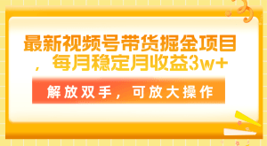 最新视频号带货掘金项目，每月稳定月收益3w+，解放双手，可放大操作-云资源库