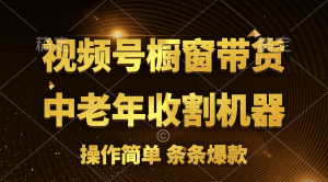 [你的孩子成功取得高位]视频号最火爆赛道，橱窗带货，流量分成计划，条…-云资源库