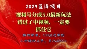 2024蓝海项目，视频号分成计划5.0最新玩法，错过了中视频，一定要抓住…-云资源库