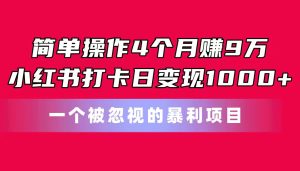 简单操作4个月赚9万！小红书打卡日变现1000+！一个被忽视的暴力项目-云资源库