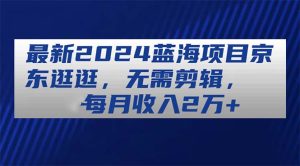 最新2024蓝海项目京东逛逛，无需剪辑，每月收入2万+-云资源库