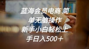 蓝海会员电商 简单无脑操作 新手小白轻松上手日入500＋-云资源库