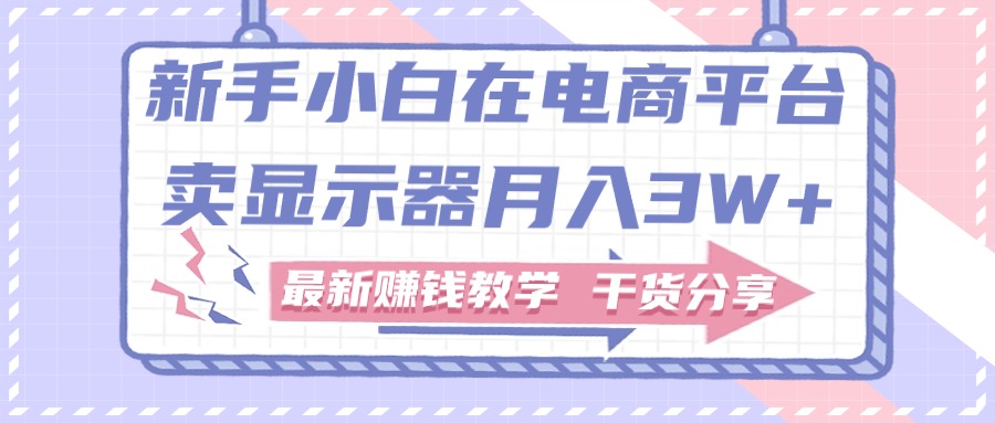 新手小白如何做到在电商平台卖显示器月入3W+，最新赚钱教学干货分享-云资源库