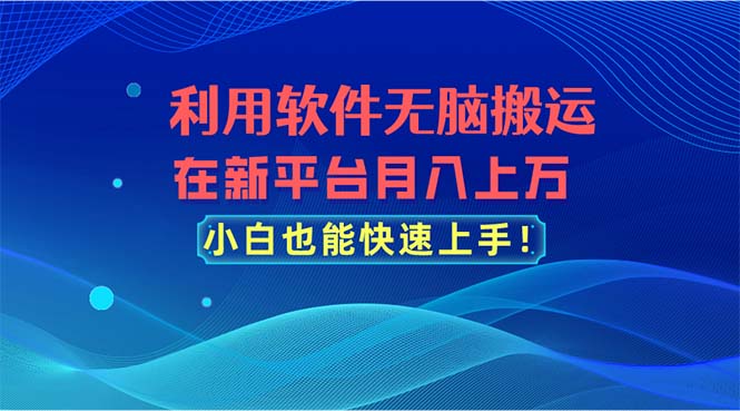 利用软件无脑搬运，在新平台月入上万，小白也能快速上手-云资源库