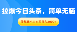 拉爆今日头条，简单无脑，零基础小白也可日入2000+-云资源库