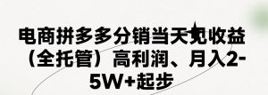 最新拼多多模式日入4K+两天销量过百单，无学费、 老运营代操作、小白福…-云资源库