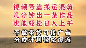 深层揭秘视频号项目，是如何靠搬运混剪做到日入过千上万的，带你轻松爆…-云资源库