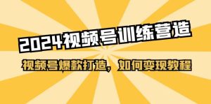 2024视频号训练营，视频号爆款打造，如何变现教程（20节课）-云资源库