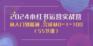 2024小红书运营实战营，从入门到精通，完成从0~1~100（50节课）-云资源库