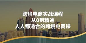 跨境电商实战课程：从0到精通，人人都适合的跨境电商课（14节课）-云资源库