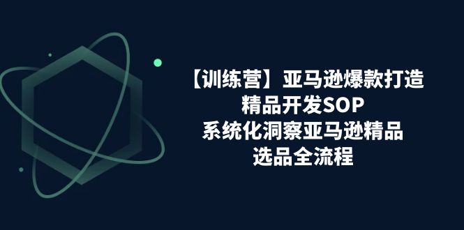 【训练营】亚马逊爆款打造之精品开发SOP，系统化洞察亚马逊精品选品全流程-云资源库