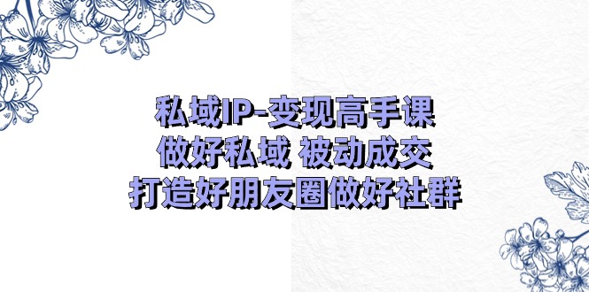 私域IP-变现高手课：做好私域 被动成交，打造好朋友圈做好社群（18节）-云资源库