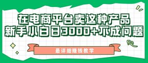 最新在电商平台发布这种产品，新手小白日入3000+不成问题，最详细赚钱教学-云资源库