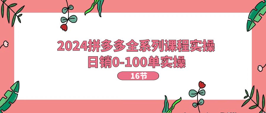 2024拼多多全系列课程实操，日销0-100单实操【16节课】-云资源库