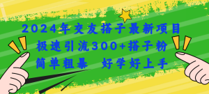 2024年交友搭子最新项目，极速引流300+搭子粉，简单粗暴，好学好上手-云资源库