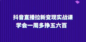 抖音直播拉新变现实操课，学会一周多挣五六百（15节课）-云资源库