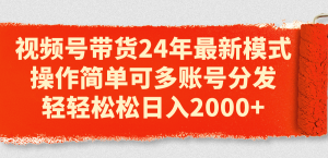 视频号带货24年最新模式，操作简单可多账号分发，轻轻松松日入2000+-云资源库