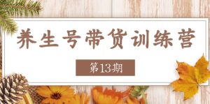 养生号-带货训练营【第13期】收益更稳定的玩法，让你带货收益爆炸-云资源库