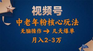 视频号火爆玩法，高端中老年粉核心打法，无脑操作，一天十分钟，月入两万-云资源库