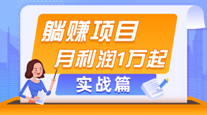 躺赚副业项目，月利润1万起，当天见收益，实战篇-云资源库