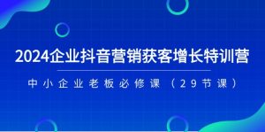 2024企业抖音-营销获客增长特训营，中小企业老板必修课（29节课）-云资源库