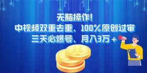 无脑操作!中视频双重去重，100%原创过审，三天必爆号，月入3万+-云资源库