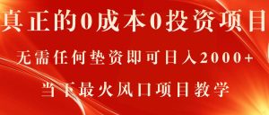 真正的0成本0投资项目，无需任何垫资即可日入2000+，当下最火风口项目教学-云资源库